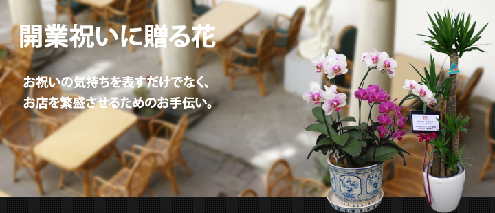 開業祝い 花 胡蝶蘭 スタンド花 アレンジ　新宿の花屋　フラワーショップアイビー